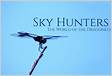 Sky Hunters, The World of the Dragonfly